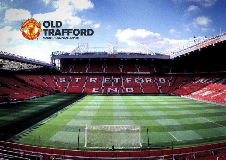 仅引起了球 仅引起了球